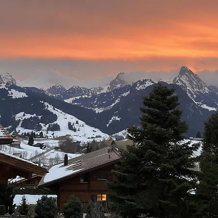 Hivernants Le Rez By Interhome Apartmán Schönried